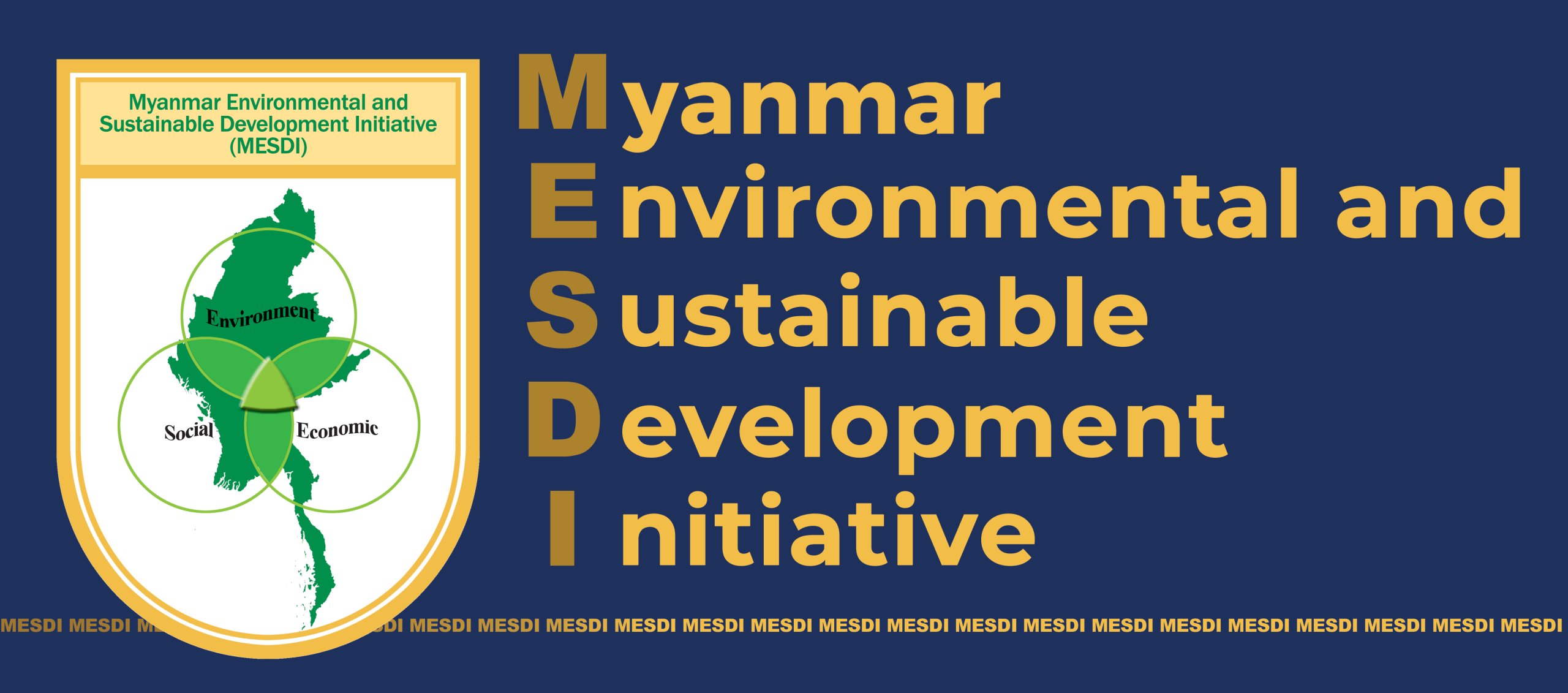 MESDI logo
